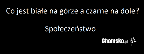 Społeczeństwo