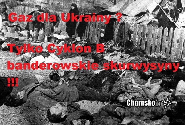 Wołyń
