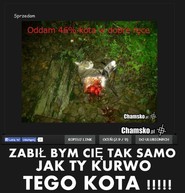 KURWO CO TO ZROBIŁAŚ !!!