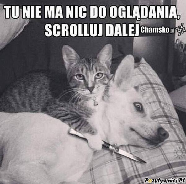 Tu nie ma nic ciekawego.
