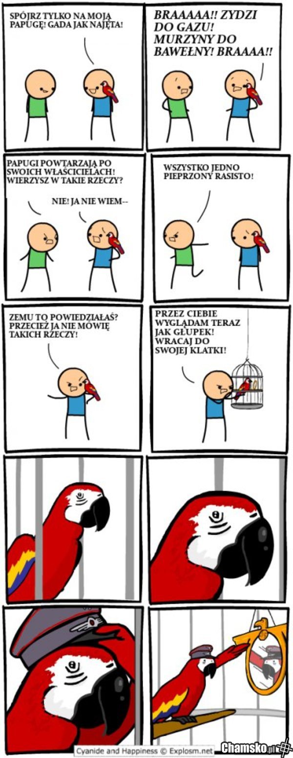 Papuga