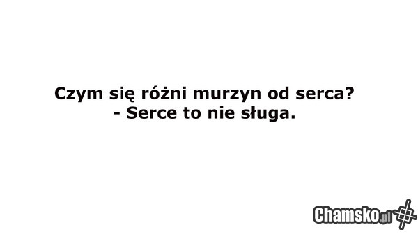 serce nie sługa