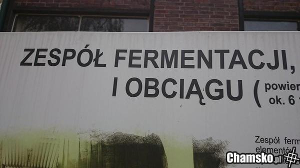 Zespół czego...?