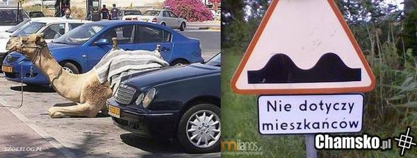 problem ze znakami drogowymi