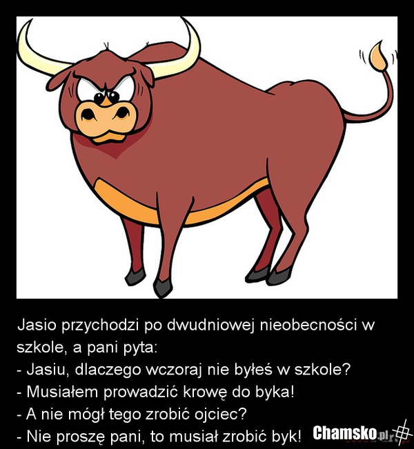 usprawiedliwienie nieobecności