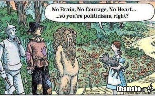 politycy