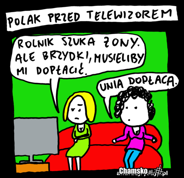rolnik szuka żony