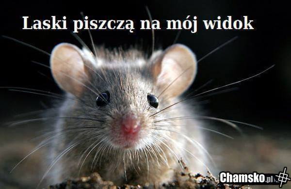 tak już mam