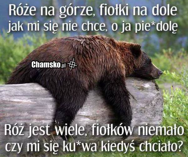 tak mi się nie chce...