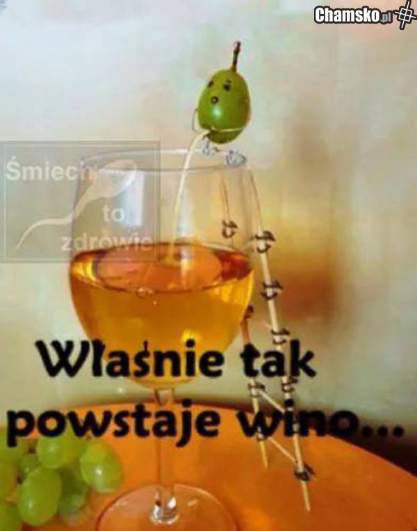 tak powstaje wino