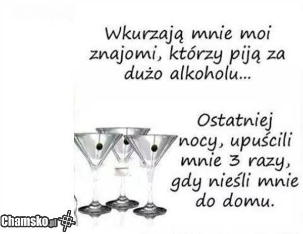 znajomi po alkoholu
