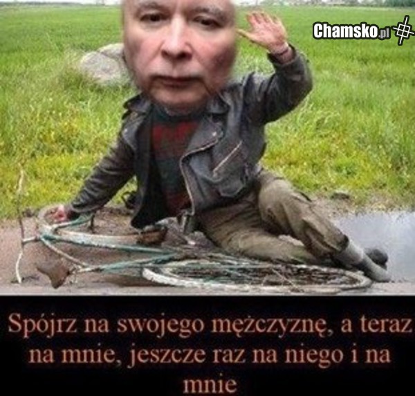 trzeżwość