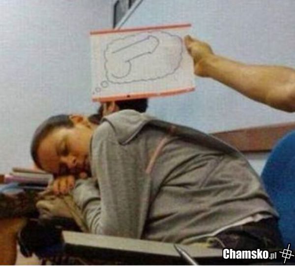 O czym śni?