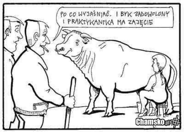Praktykantka