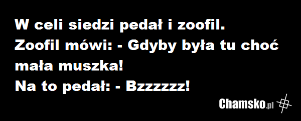 Zoofil i pedał