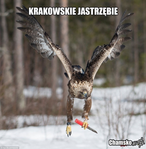 Tymczasem w Krakowie