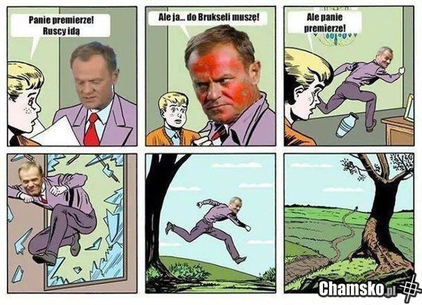 Donald - historia prawdziwa