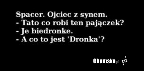 Spacer z synem