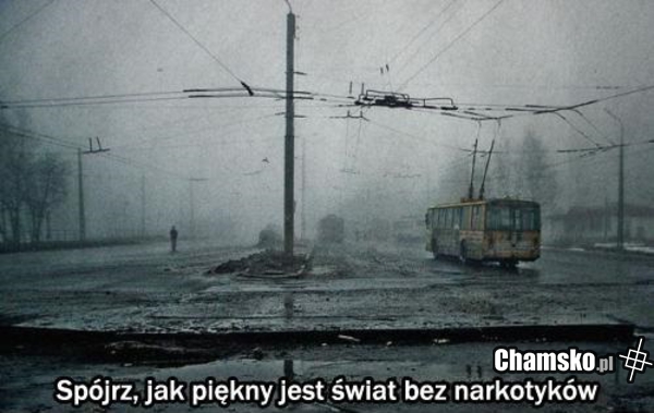 Świat bez narkotyków