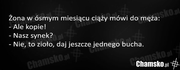 Ale kopie