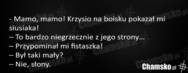 Zboczony Krzysiek