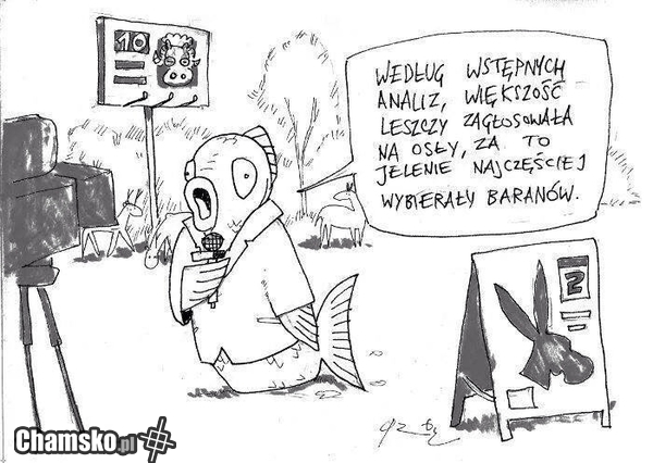 Wstępne wyniki wyborów