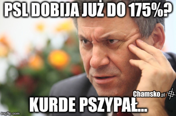 PSL prowadzi