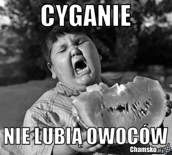 Cygańskie ministerstwo dietetyki informuje
