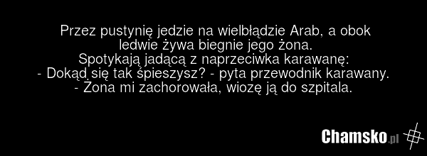 Przez pustynię jedzie na wielbłądzie Arab, a obok ledwie żywa biegnie jego żona. Spotykają jadącą z naprzeciwka karawanę: - Dokąd się tak śpieszysz? - pyta przewodnik karawany. - Żona mi zachorowała, wiozę ją do szpitala.