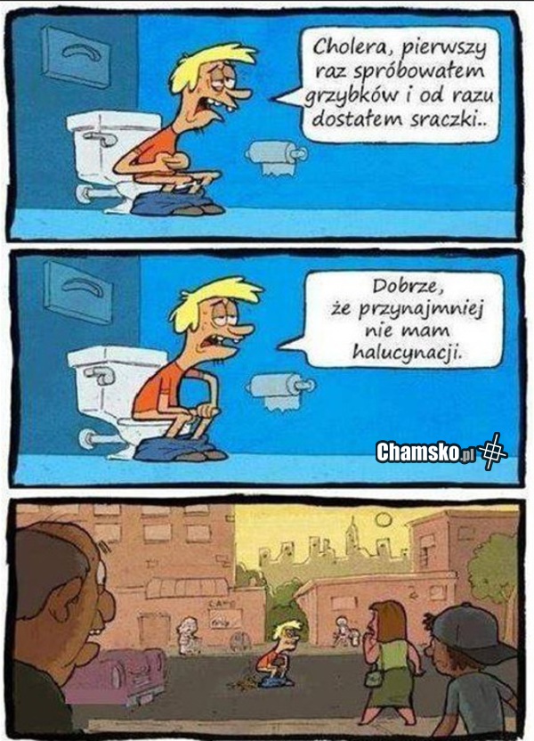 Grzybki