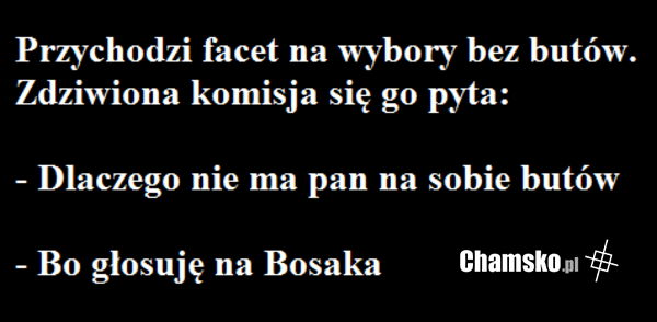 Wybory