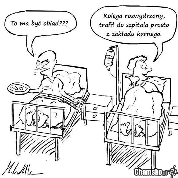 Niby śmieszne, ale prawdziwe