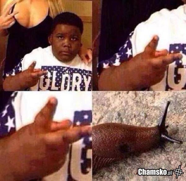 Ślimak