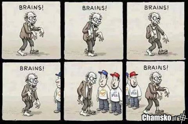 Zombie