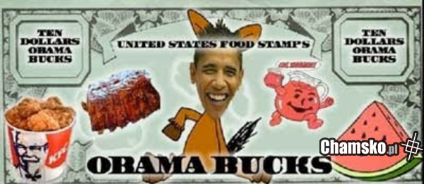 Nowa waluta USA - Obamabucks