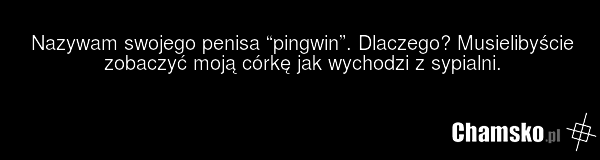 Nazywam swojego penisa “pingwin”. Dlaczego? Musielibyście zobaczyć moją córkę jak wychodzi z sypialni.
