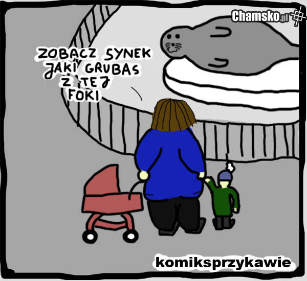 Rozmiary