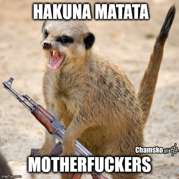 hakuna matata