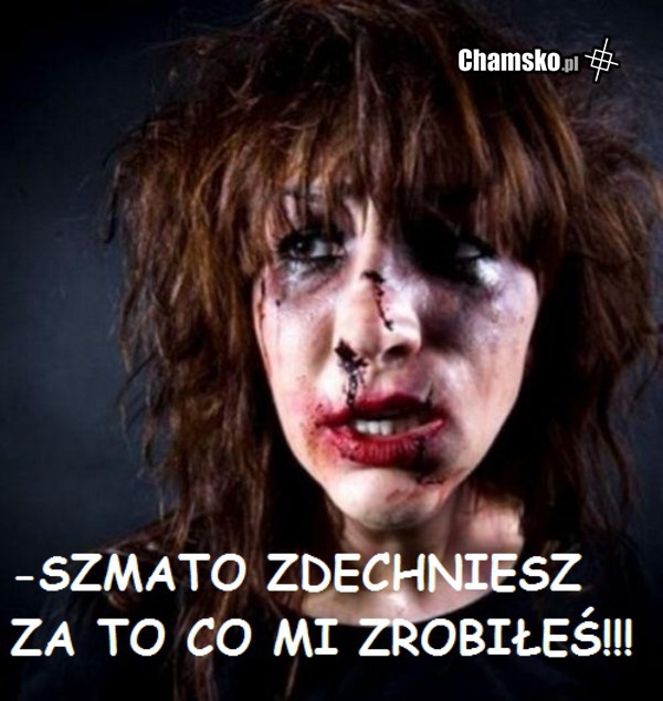 -SZMATO ZDECHNIESZ.........