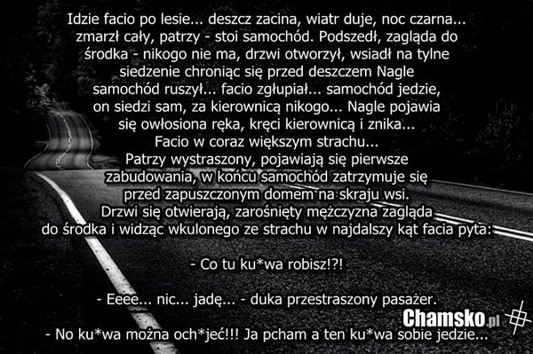 Dziwna sytuacja na drodze