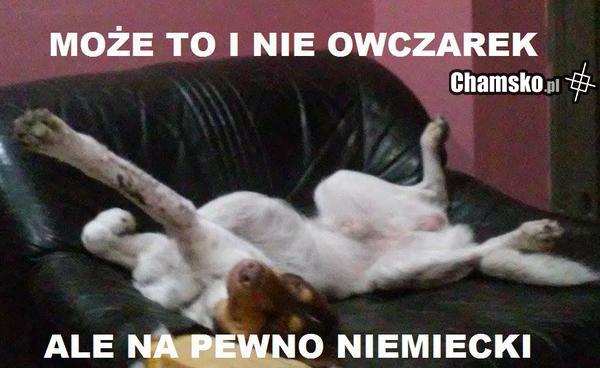 Niemiecki