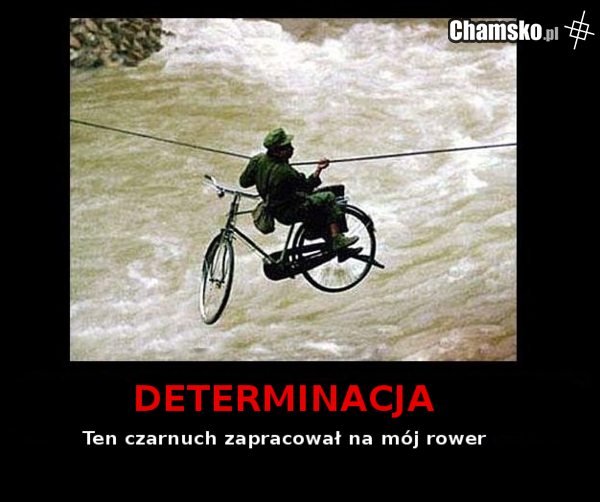 Determinacja