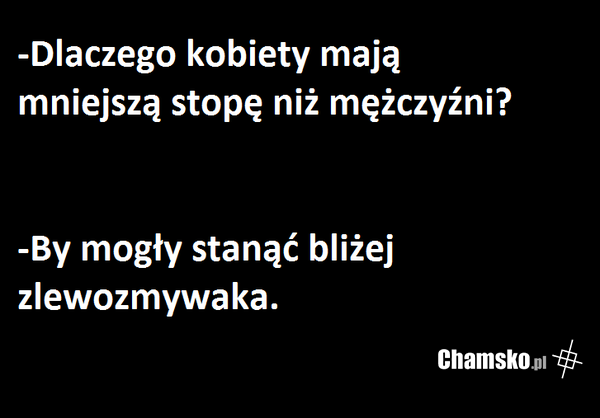 Stopy