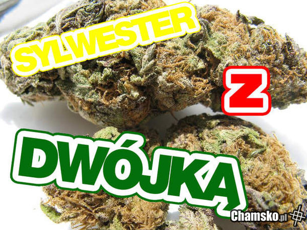 Sylwester z dwójką