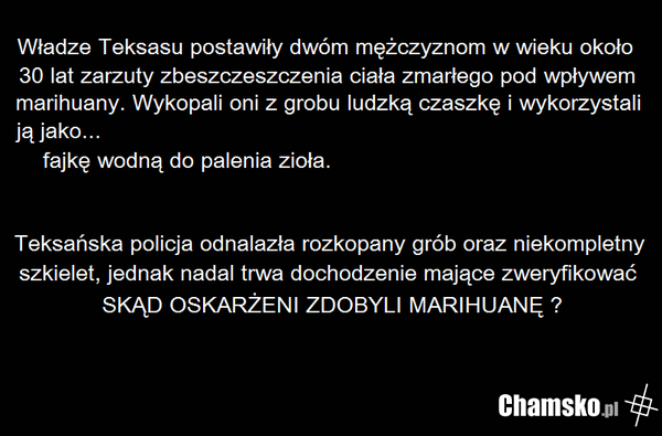 ZIOŁO
