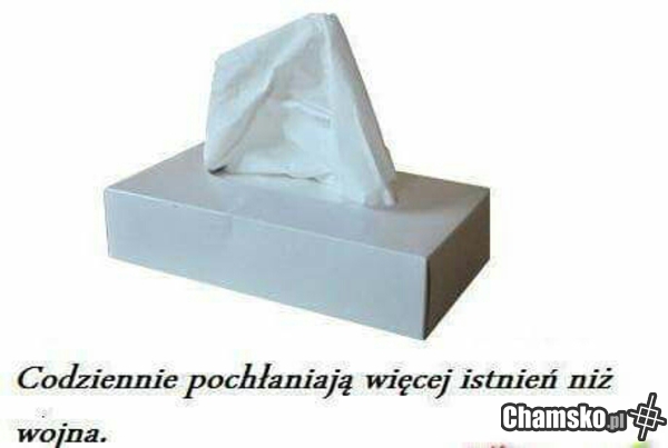Cichy zabójca