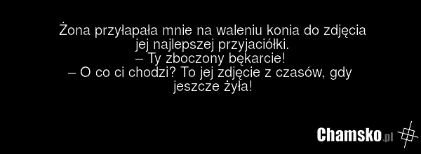 Żona przyłapała mnie na waleniu konia do zdjęcia jej najlepszej przyjaciółki. – Ty zboczony bękarcie! – O co ci chodzi? To jej zdjęcie z czasów, gdy jeszcze żyła!