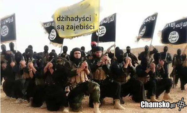 dzichadysci