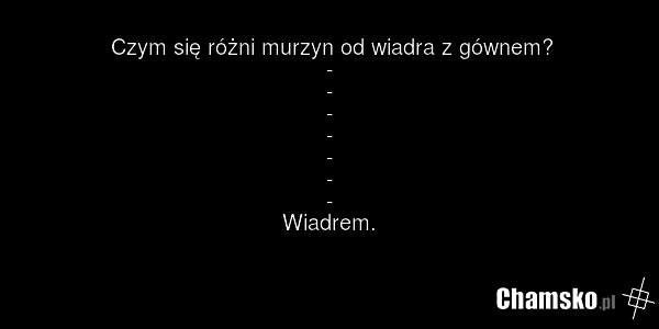 Czym się różni murzyn od wiadra z gównem? - - - - - - - Wiadrem.