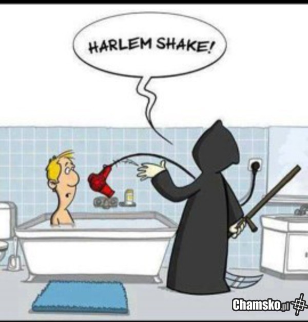 HARLEM SHAKE !